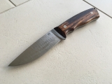 AN098-02